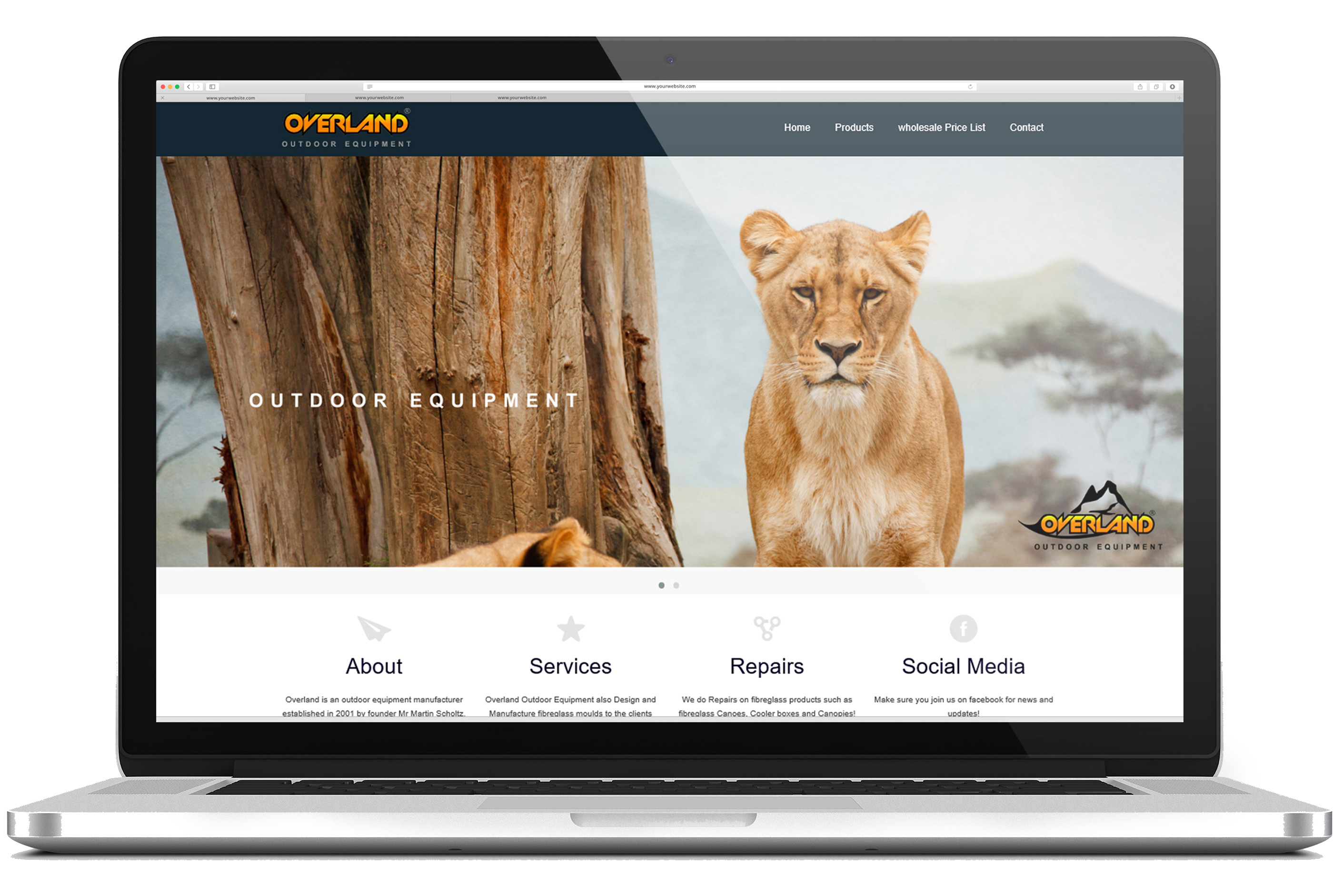 Website Developing
