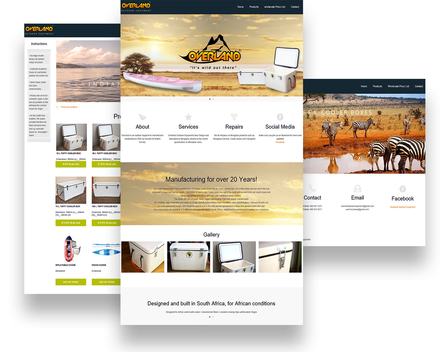 Website Developing